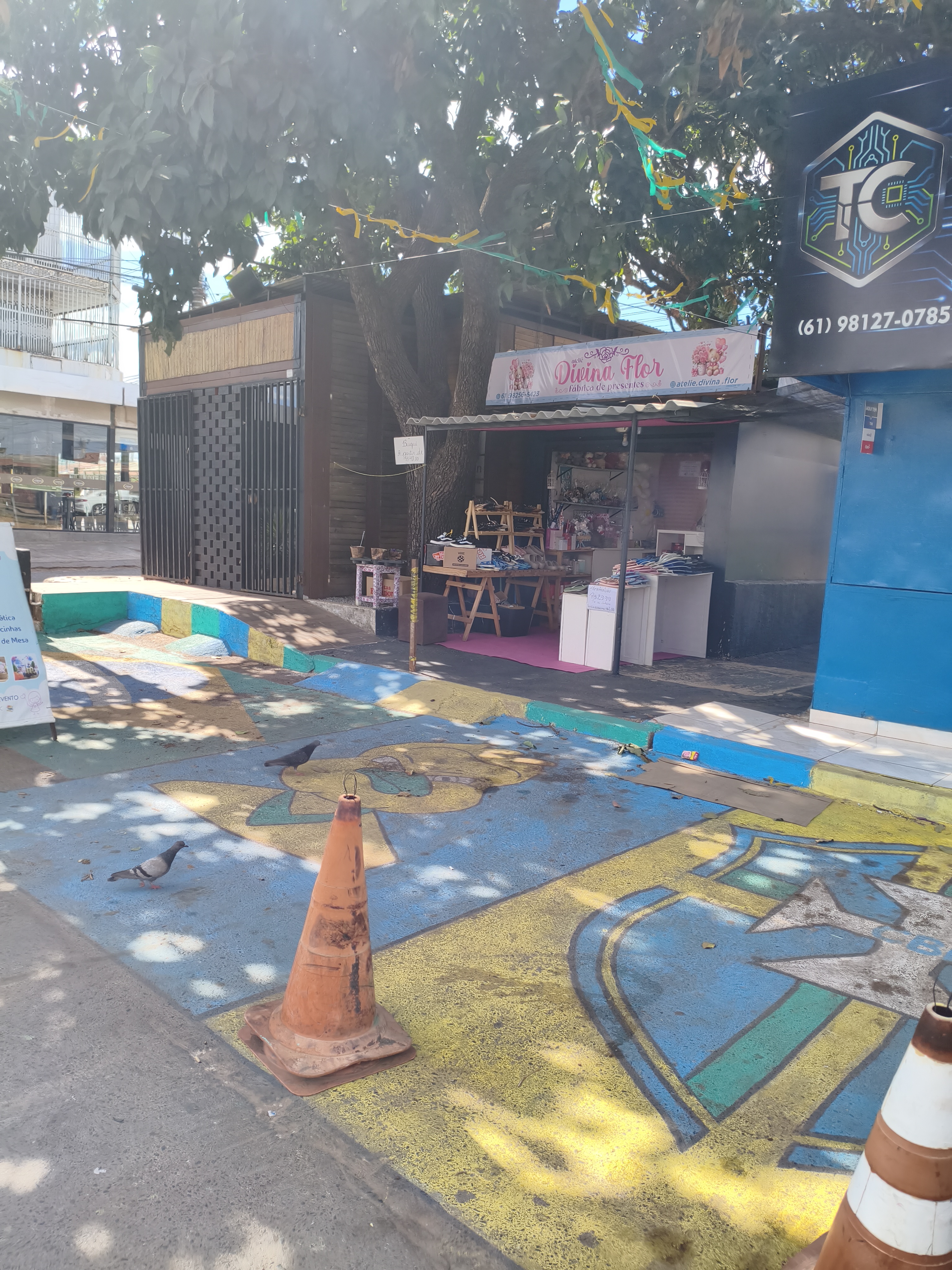Divina Flor Fábrica de Presentes em Ceilândia