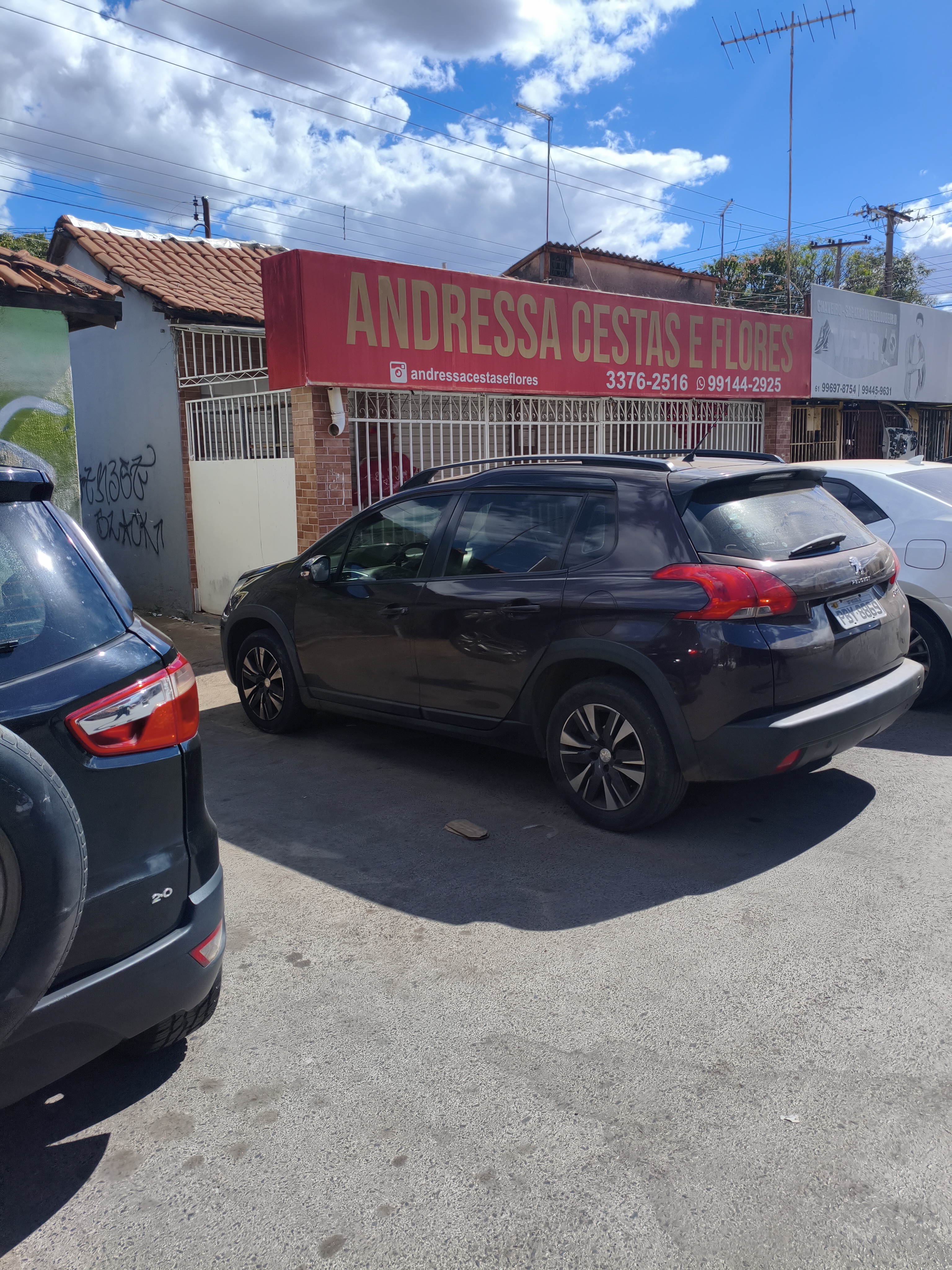 Andressa Cestas e Flores em Ceilândia